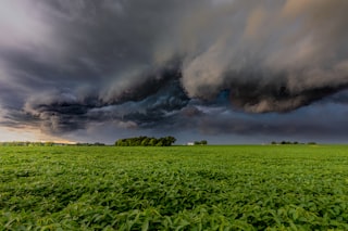 green grass field under white clouds