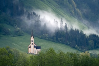 a church on a hill surrounded by trees